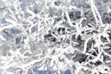 Doğa, kış manzarası