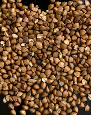 Buğday tohumu arka plan