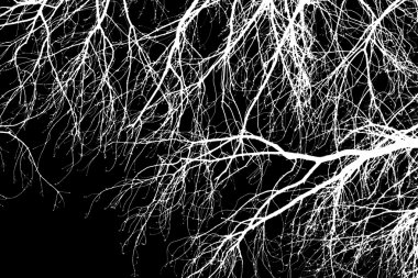 Siyah arkaplanda beyaz ağaç dalları