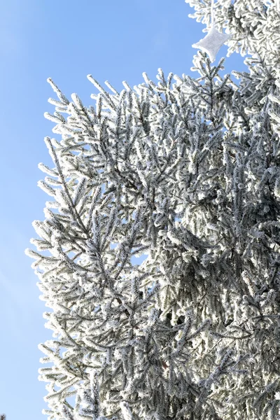 Nature, winter landscape — Stock Photo, Image