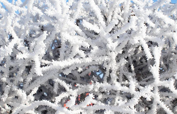 Natuur, winterlandschap — Stockfoto