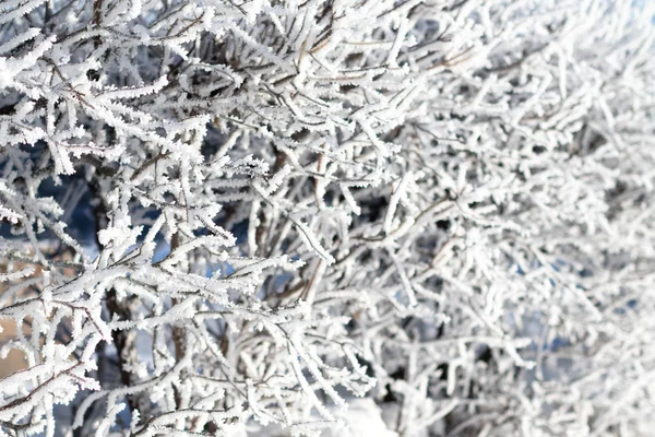 Natura, paesaggio invernale — Foto Stock