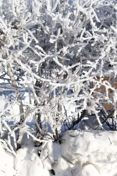 Naturaleza, paisaje invernal — Foto de Stock