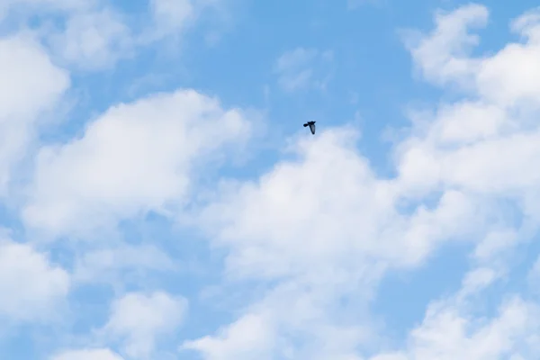 Nuvens céu azul — Fotografia de Stock