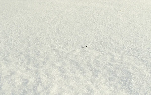 Paisaje nevado de invierno —  Fotos de Stock