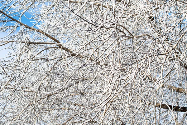 Winterliche Schneelandschaft — Stockfoto