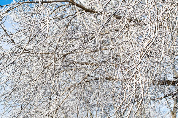 Inverno paesaggio innevato — Foto Stock