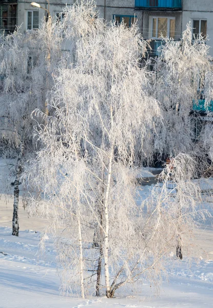 Inverno paesaggio innevato — Foto Stock