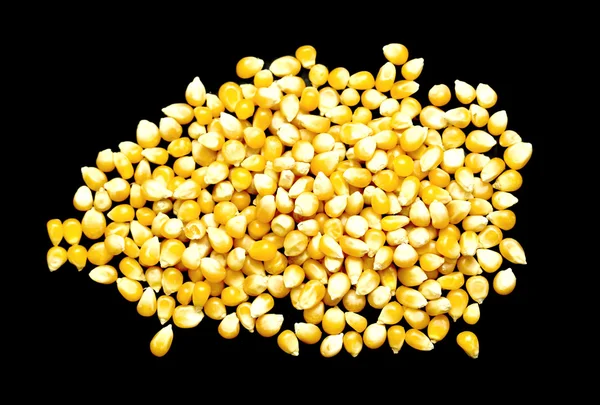 Vrac de grains de maïs — Photo