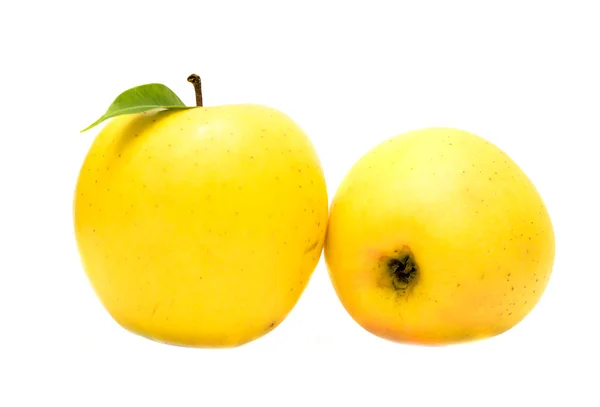 Pomme jaune sur fond blanc — Photo