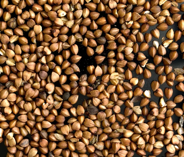 Buckwheat seeds background — Stock Photo, Image