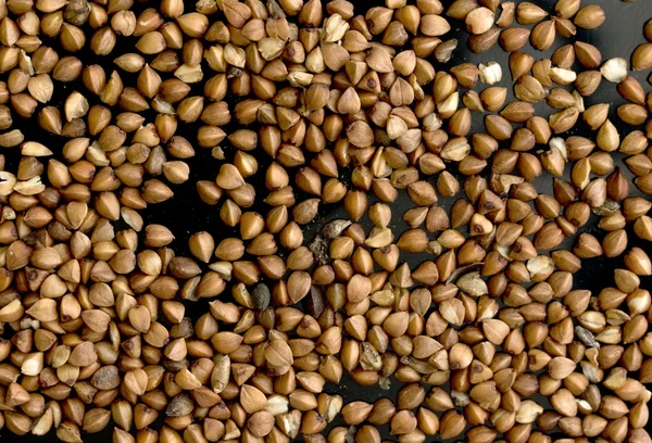 Buckwheat seeds background — Stock Photo, Image