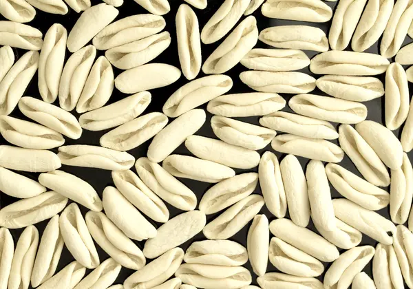 Pasta made with white flour — Stock Photo, Image