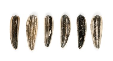 Ayçekirdeği arka planı