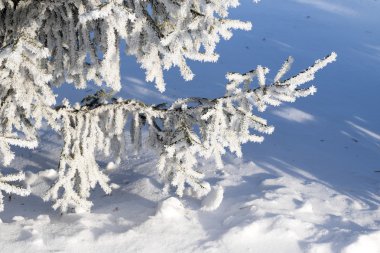 karlı kış manzara, doğa
