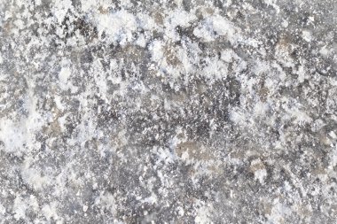 ayçiçeği tohumu arka plan bakış