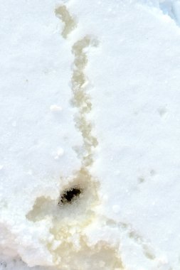 karlı kış manzara, doğa