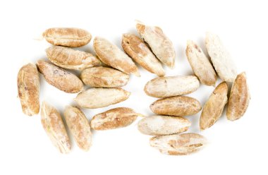 Beyaz bir arka plan üzerinde tarihinden itibaren kemik