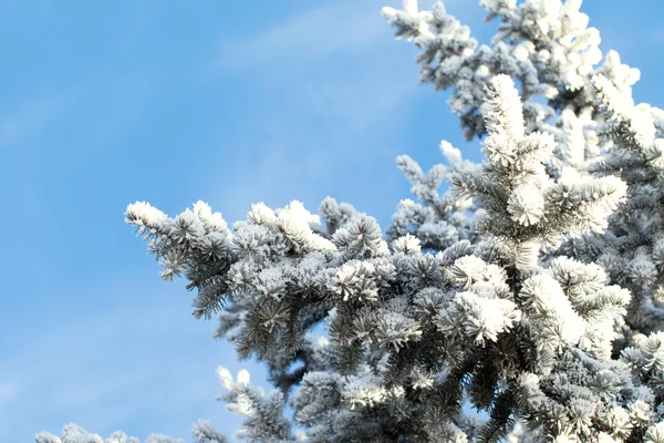 Inverno paisagem, natureza — Fotografia de Stock