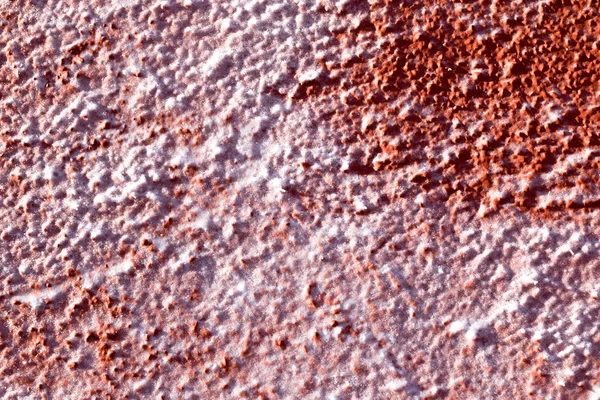 コンクリート壁赤冬 — ストック写真