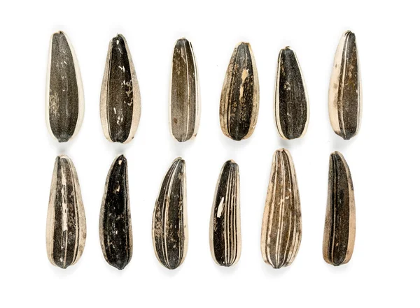 Sunflower seeds background — Stock Photo, Image