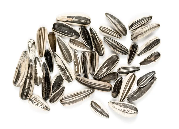 Sunflower seeds background — Stock Photo, Image