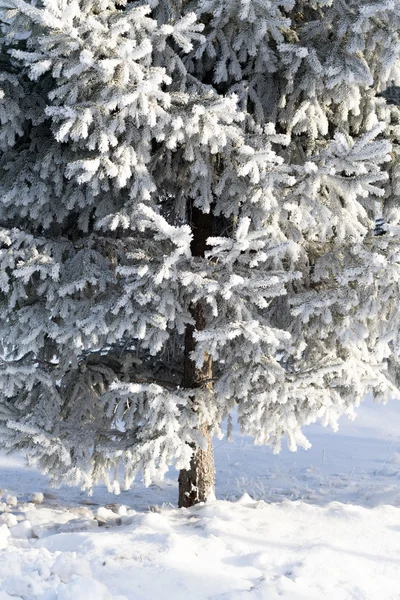 Karlı kış manzara, doğa — Stok fotoğraf