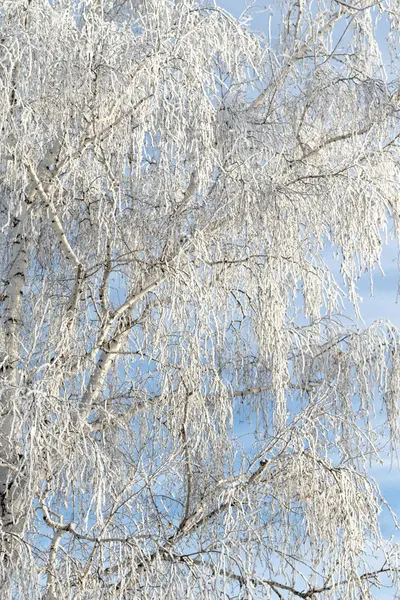 Neve inverno paisagem, natureza — Fotografia de Stock