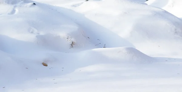 雪に覆われた冬の風景、自然 — ストック写真