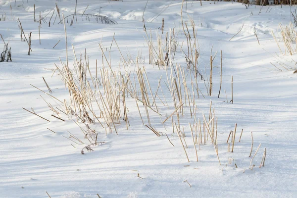 Winter Snowy Landschap — Stockfoto