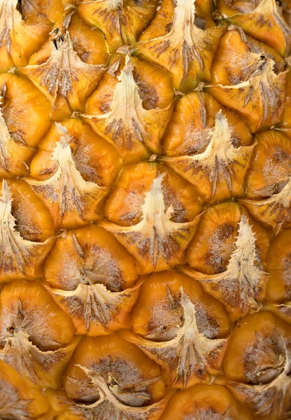 Comida casera, fondo blanco — Foto de Stock