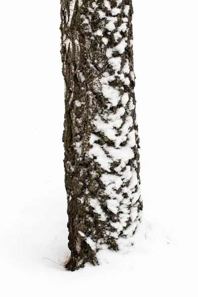 Zimowy śnieżny krajobraz — Zdjęcie stockowe