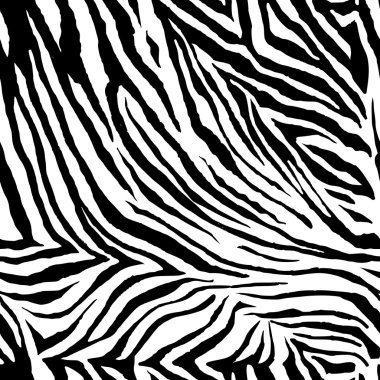 Zebra desen arka plan