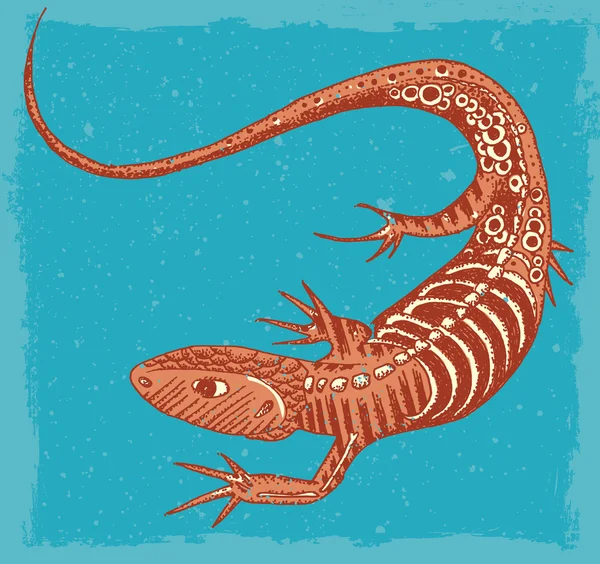 Illustration de lézard — Image vectorielle