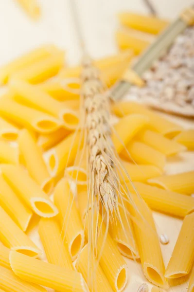 Pasta italiana penne con grano — Foto Stock
