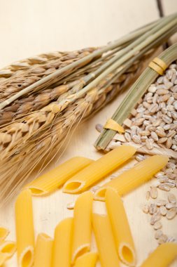 Buğday ile İtalyan makarna penne