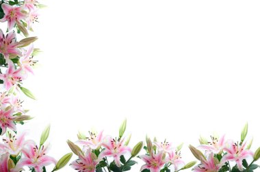 Lily çiçek kompozisyon çerçeve