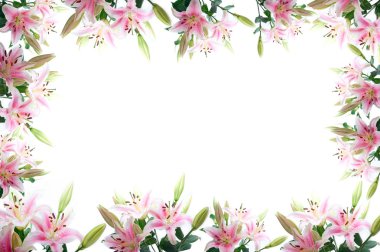 Lily çiçek kompozisyon çerçeve