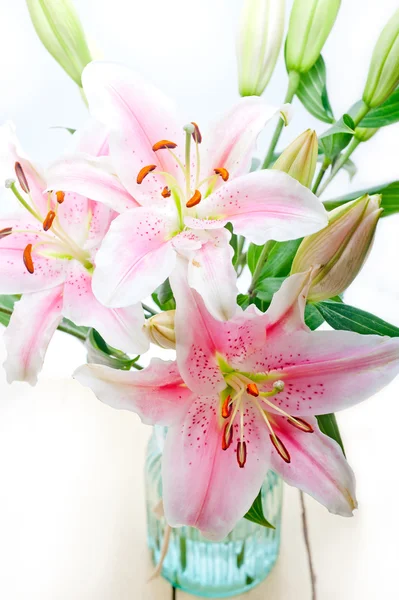 Rózsaszín liliom csokor virág — Stock Fotó