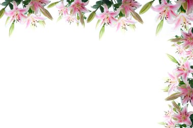 Lily çiçek kompozisyon çerçeve