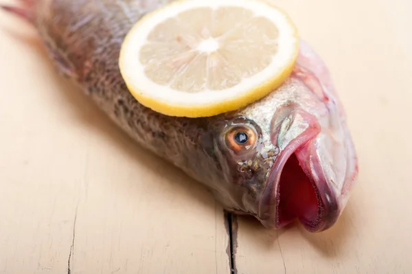 Fresh whole raw fish — Stock Photo, Image