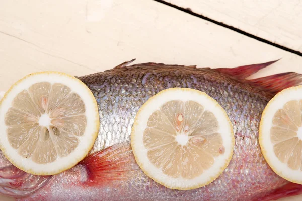 Frischer roher Fisch — Stockfoto