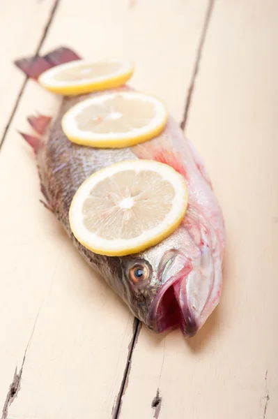 Pescado crudo entero fresco —  Fotos de Stock