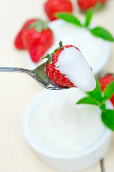 Organické řecký jogurt a jahoda — Stock fotografie