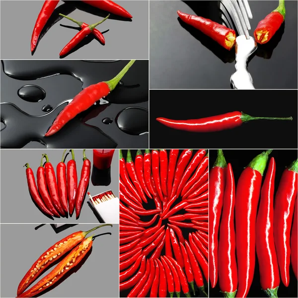 Collage de chiles rojos picantes —  Fotos de Stock