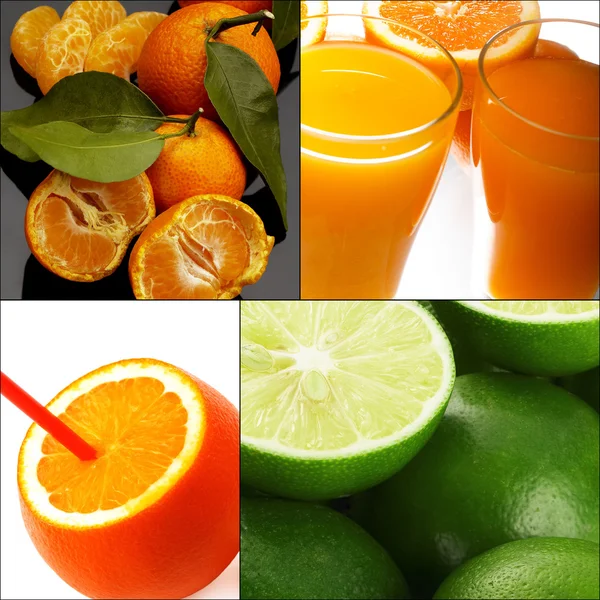 Citrus fruits collage — Stock Photo, Image