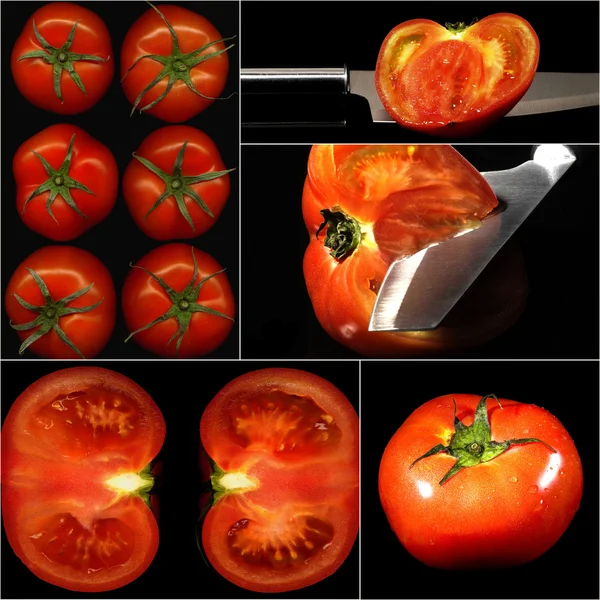 Tomatoes collage — Stock Photo, Image