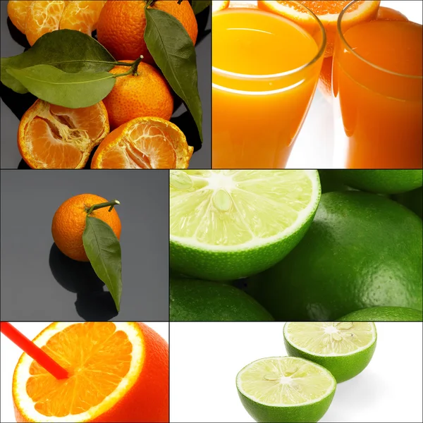 Citrusvruchten collage — Stockfoto