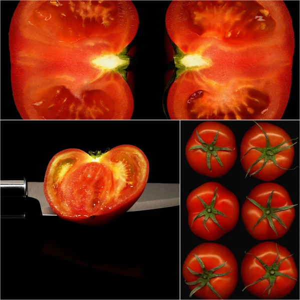Tomatoes collage — Stock Photo, Image