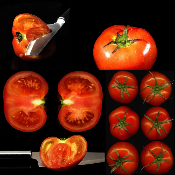 Tomatoes collage — Stock Photo, Image